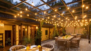 Eine Terrasse im Freien mit Korbmöbeln, Lichterketten und Blumentöpfen.