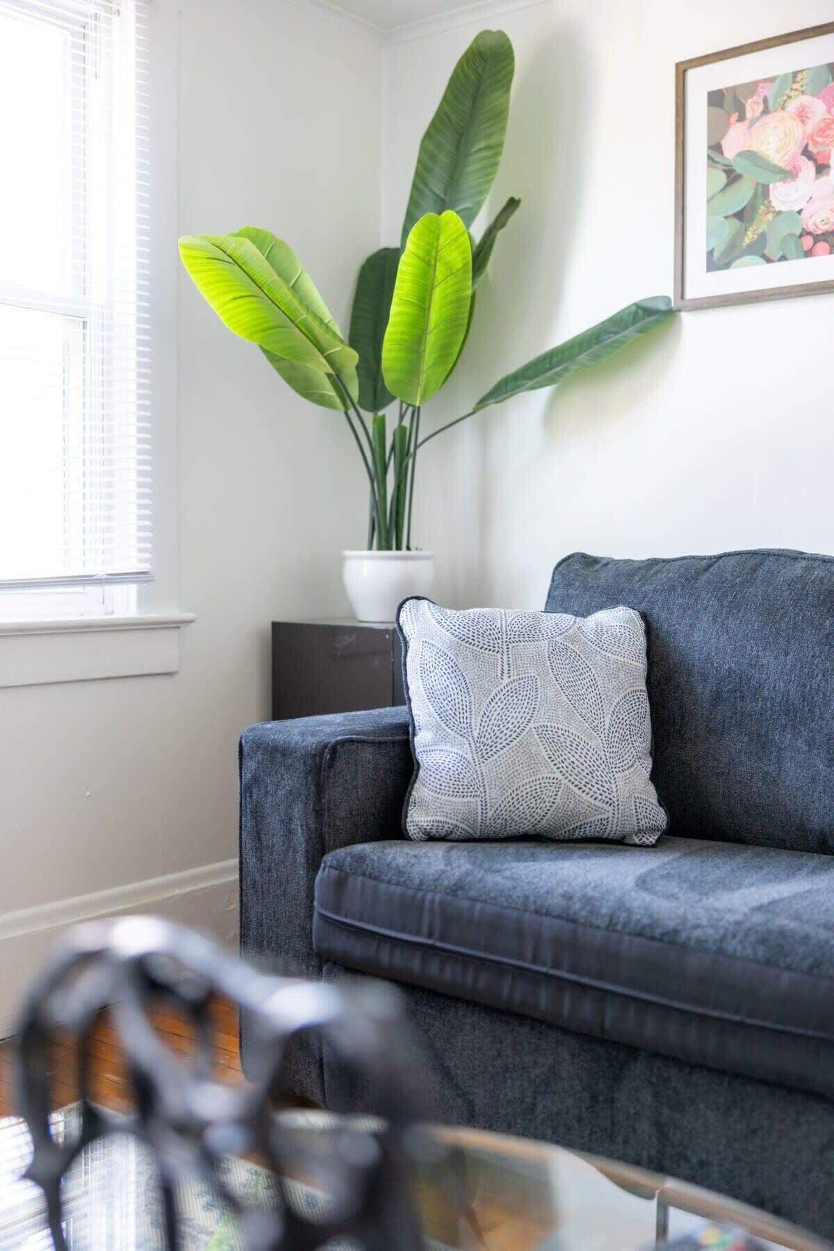 Cozy Apt|10min Downtown|5min Zoo|10min Airport
