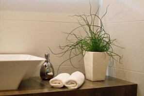 Hair dryer, towels, soap, toilet paper