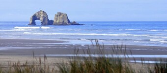 Tiki Escape w/ Amazing Mountain and Marsh Backdrop