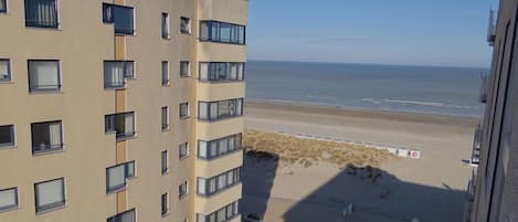 A high-rise building with multiple windows and balconies overlooking a beach.