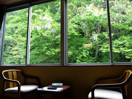 Basic Room, Non Smoking, Mountain View | View from room