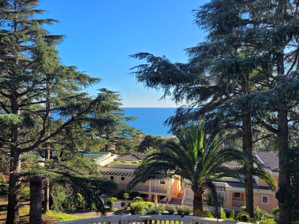 Une vue sur la côte, avec un bâtiment entouré d’arbres et un palmier.