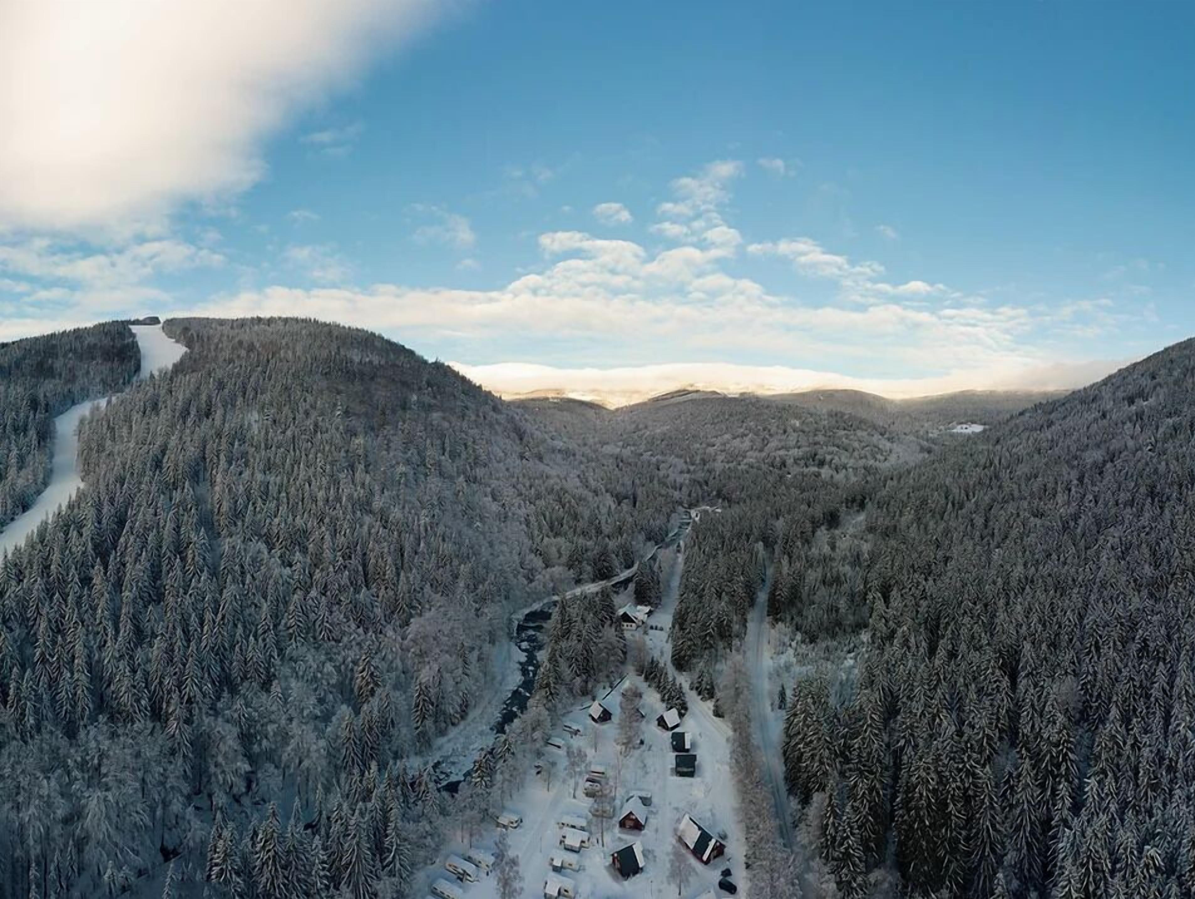 A snow-covered forest with a winding road and several cabins.