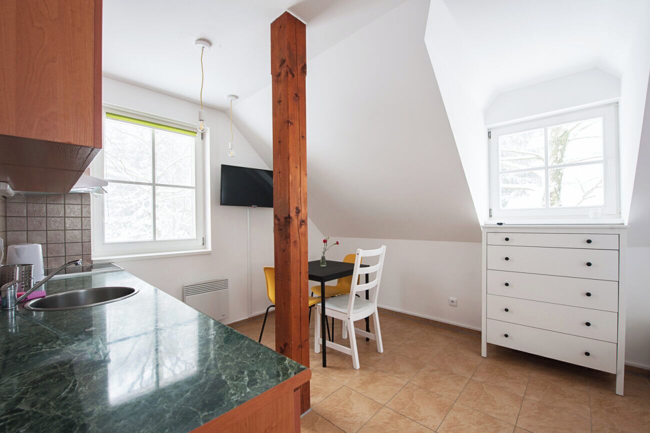 Classic Apartment | Private kitchen | Mini-fridge, microwave, stovetop, electric kettle