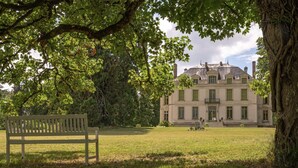 A large, historic building with a symmetrical facade, a central entrance, and a well-maintained lawn with a bench. - Le Château du Breuil (Mazières-de-Touraine)