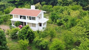 Une maison blanche à deux étages, surmontée d’un toit rouge et entourée d’une végétation luxuriante.