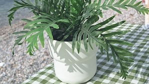 A potted plant on a checkered tablecloth by a seaside with a distant view of a castle. - SAND GARDEN (Bodrum)