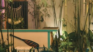An outdoor seating area with tables and chairs, surrounded by plants and decorative hanging lights. - Dai Duong Lagi Homestay & Coffee (Phuoc Hoi)