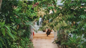 A pathway with a patterned tile floor, surrounded by lush greenery and a hanging light fixture. - Dai Duong Lagi Homestay & Coffee (Phuoc Hoi)