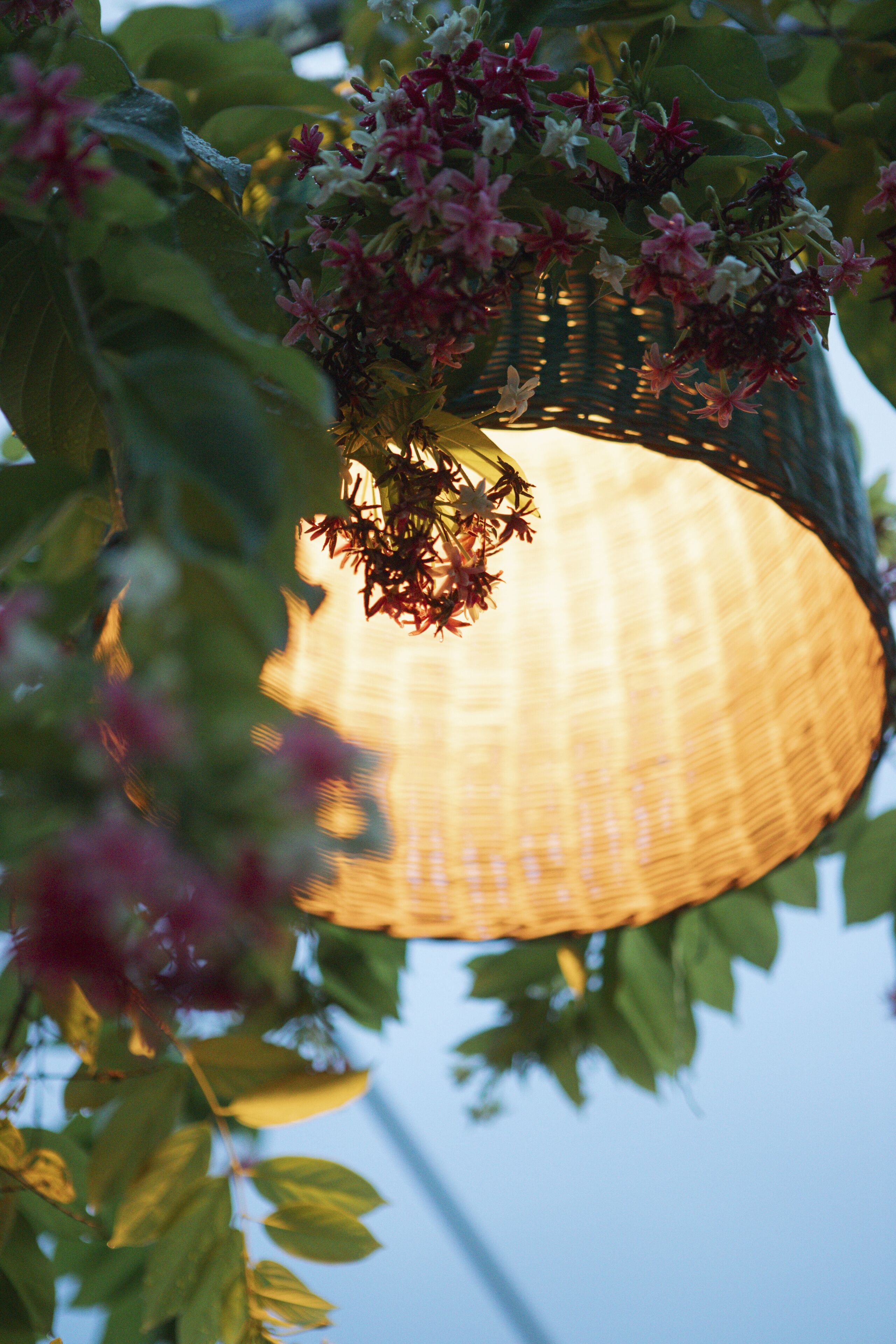 A hanging basket with flowers and a woven light fixture.