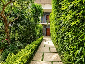 Un sendero conduce a un edificio con puerta de madera, rodeado de exuberante vegetación y un camino de baldosas de piedra.