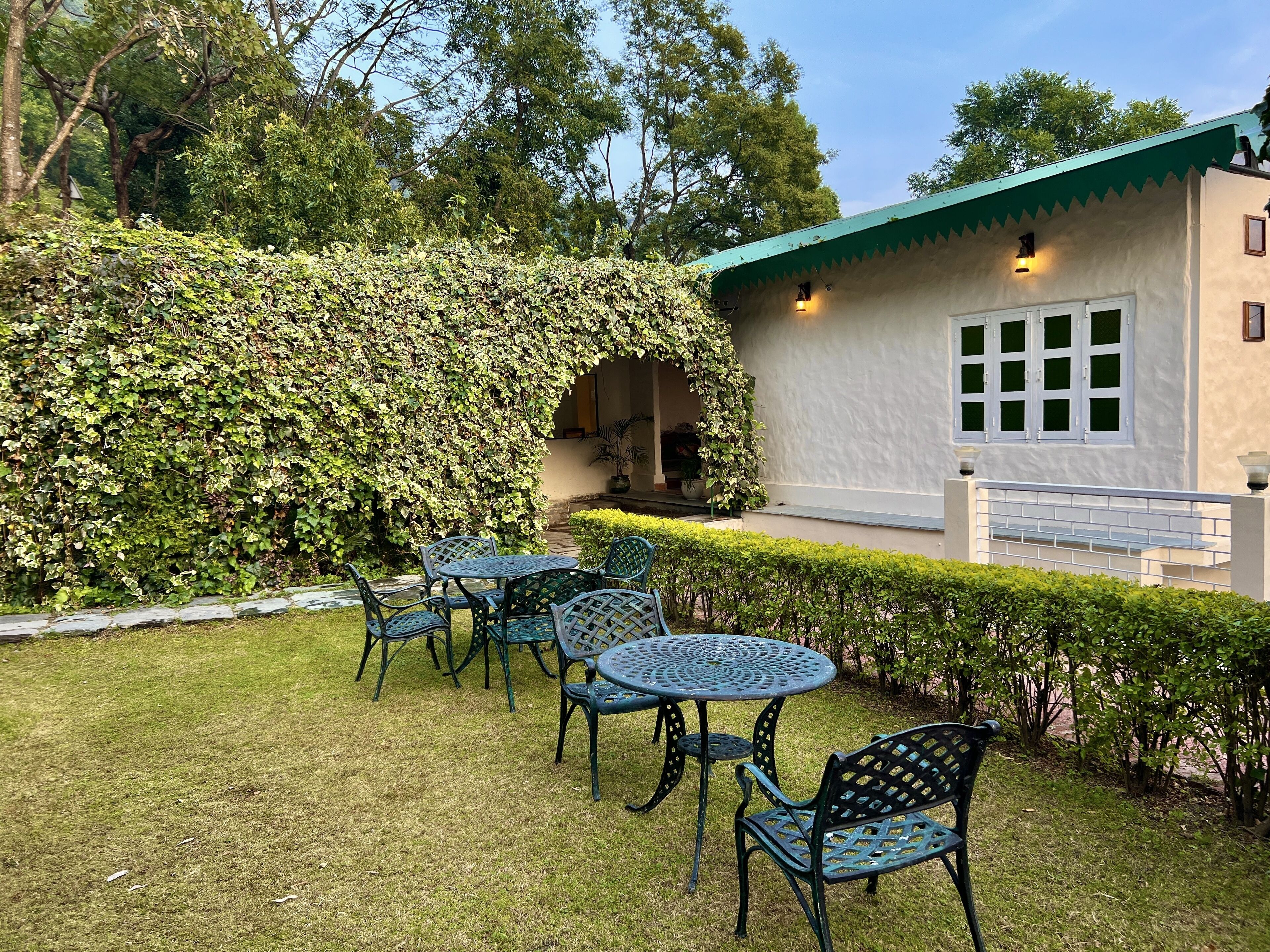 A patio with outdoor seating and a wall covered in ivy.