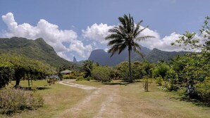 Un chemin de campagne menant à une maison entourée d’une végétation luxuriante et de montagnes.