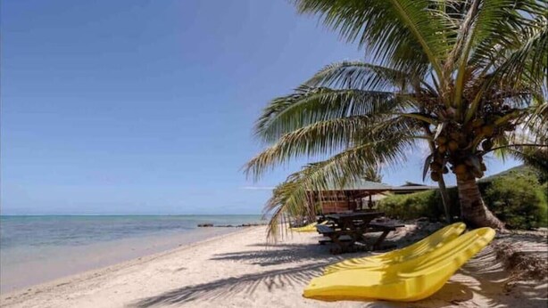 Une plage avec un palmier, une chaise longue jaune et une structure en bois.