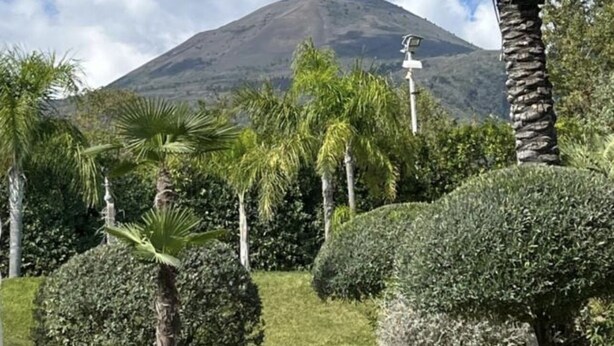 A landscaped area with palm trees and a mountain in the background. - B&B Laura (Terzigno)