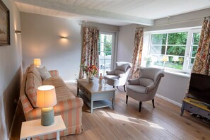 TV, lareira, DVD player, mesa de pingue-pongue