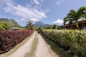 Àrea exterior de l'allotjament