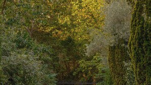 Een onverharde weg die leidt naar een hekpoort, omringd door dichte begroeiing en bomen.