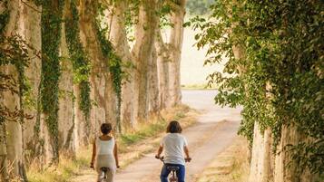 A pathway flanked by trees, with two people riding bicycles.