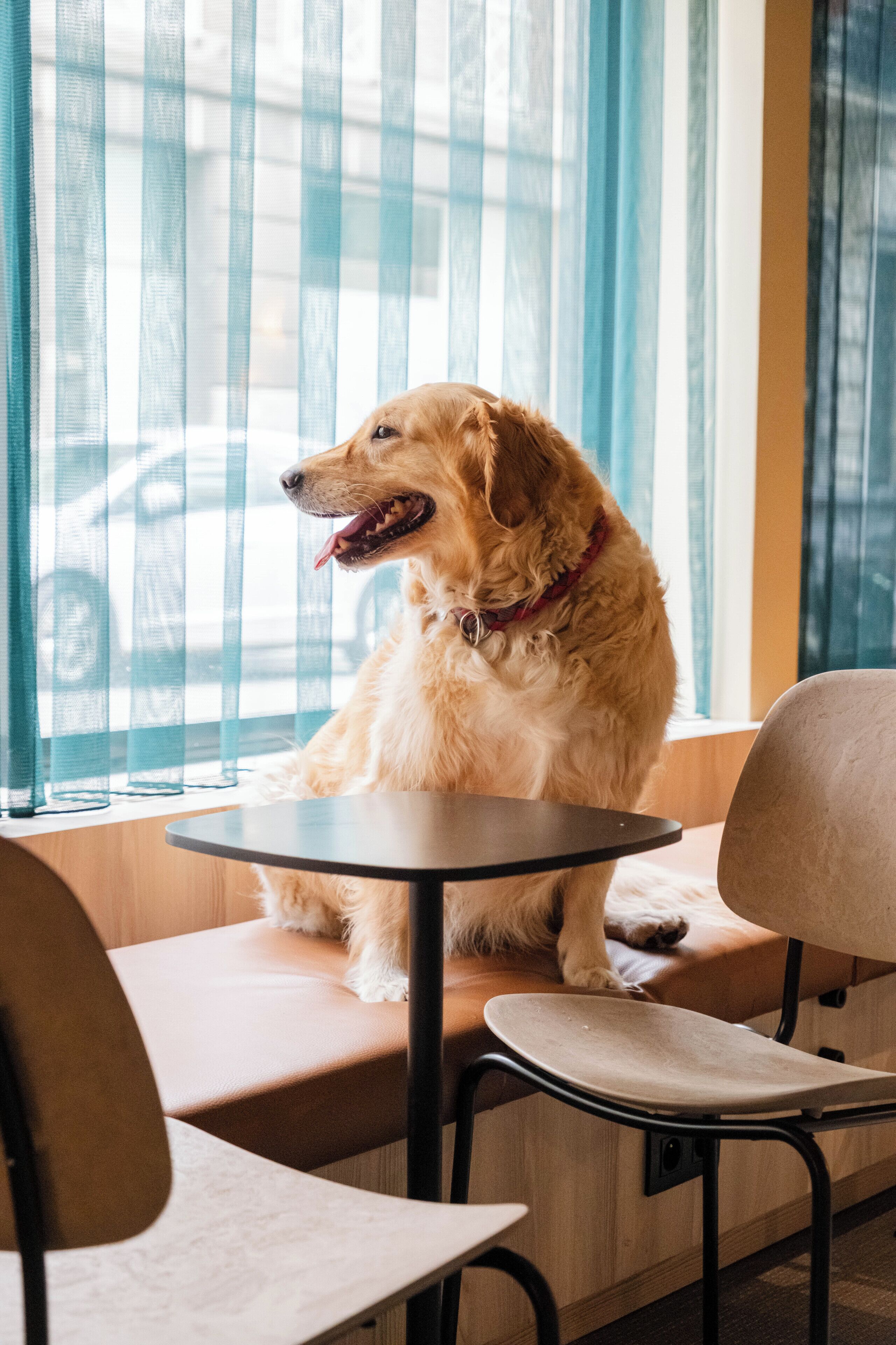 Photo - Citybox Brussels Centre Louise