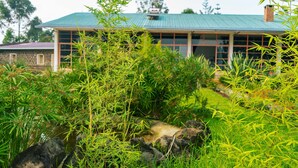 Un edificio con techo verde, rodeado de abundante vegetación y un pequeño arroyo.