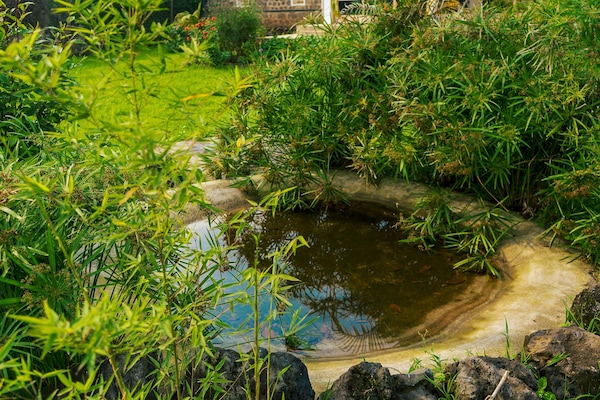 Standard Apartment, 2 Bedrooms, Balcony, Garden View | Garden view