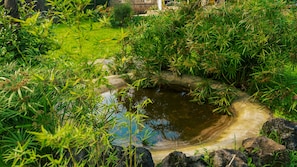 Vista al jardín