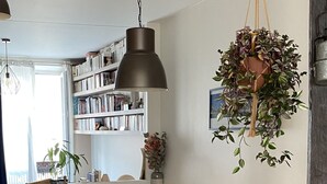 Eine moderne Küche mit einem Holzespeisetisch, schwarzen Stühlen und einer hängenden Pflanze.