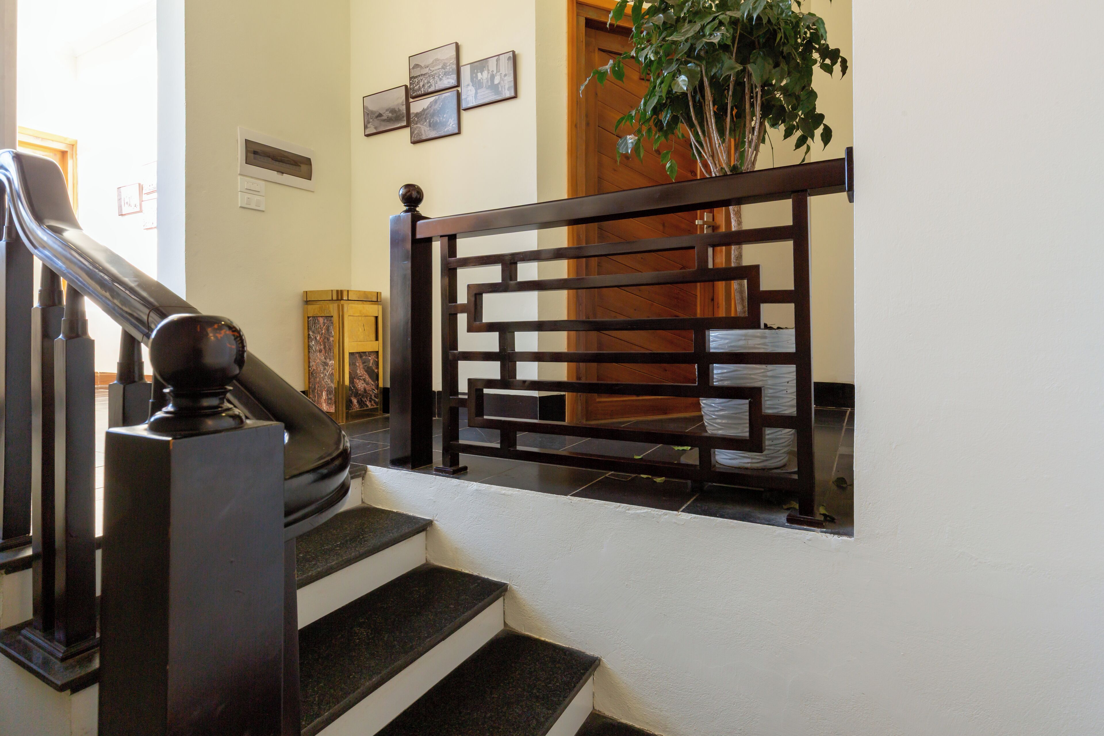 A staircase with a wooden railing and a plant in the background.