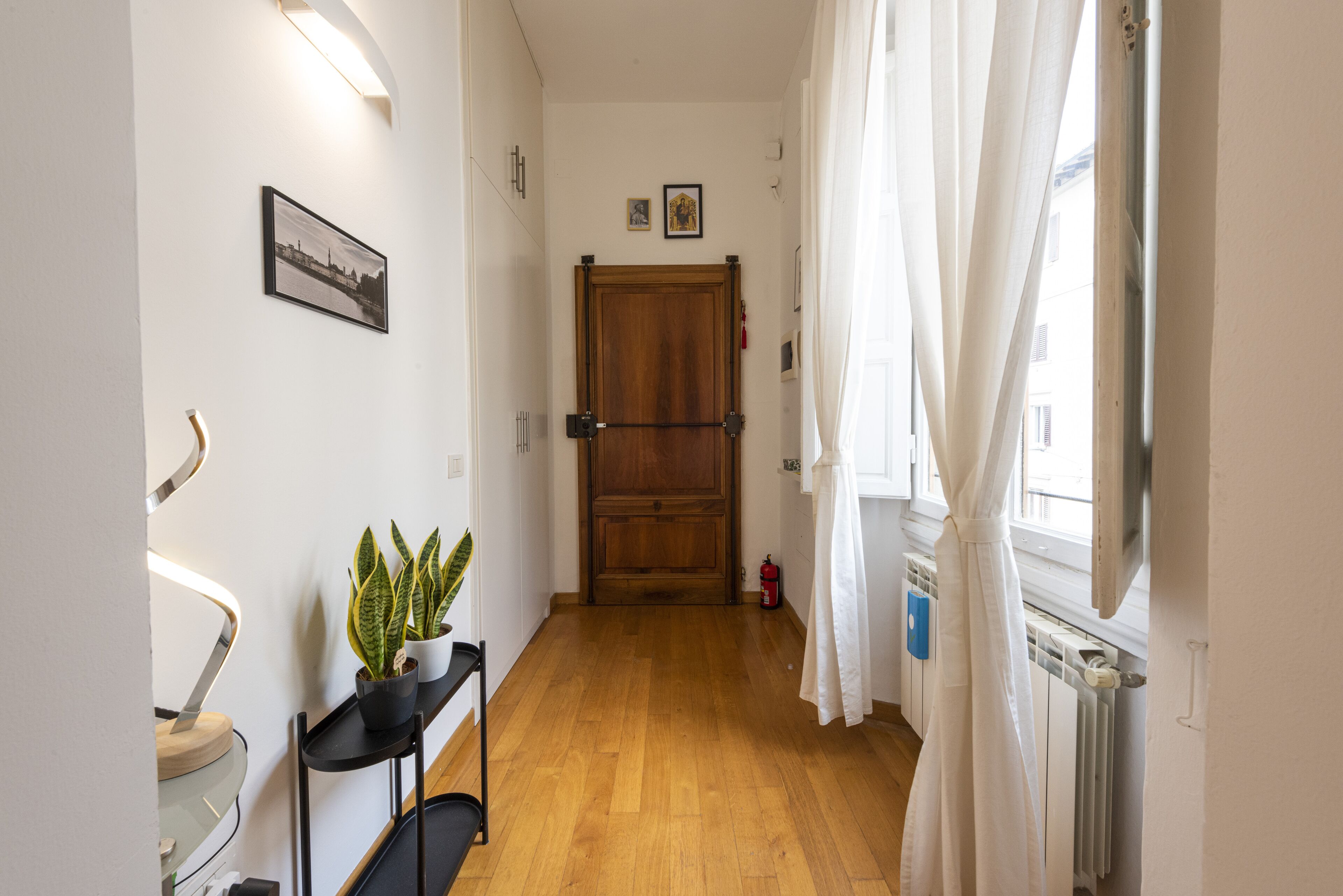Un pasillo con piso de madera, una planta en maceta, un estante negro y una puerta al final.