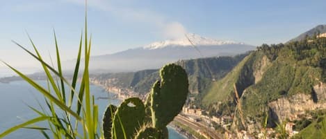 A coastal landscape with a cactus in the foreground, a mountain in the background, and a town along the coastline.