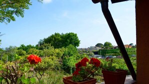 A balcony with potted red flowers and a view of a green landscape with trees and buildings in the distance. - Villa Bonaccorso - Il Casotto il Limone Verde (Viagrande)