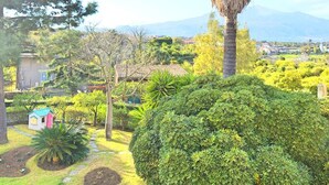 A lush garden with a prominent palm tree, various shrubs, and a small building with a red roof. - Villa La Timpa con Jacuzzi Privata e Meravigliosa Vista Dell Etna e del Mare (Acireale)