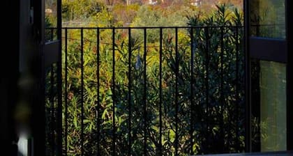 Villa Bonaccorso Casale-splendida Villa Immersa Nella Natura ai Piedi Dell Etna