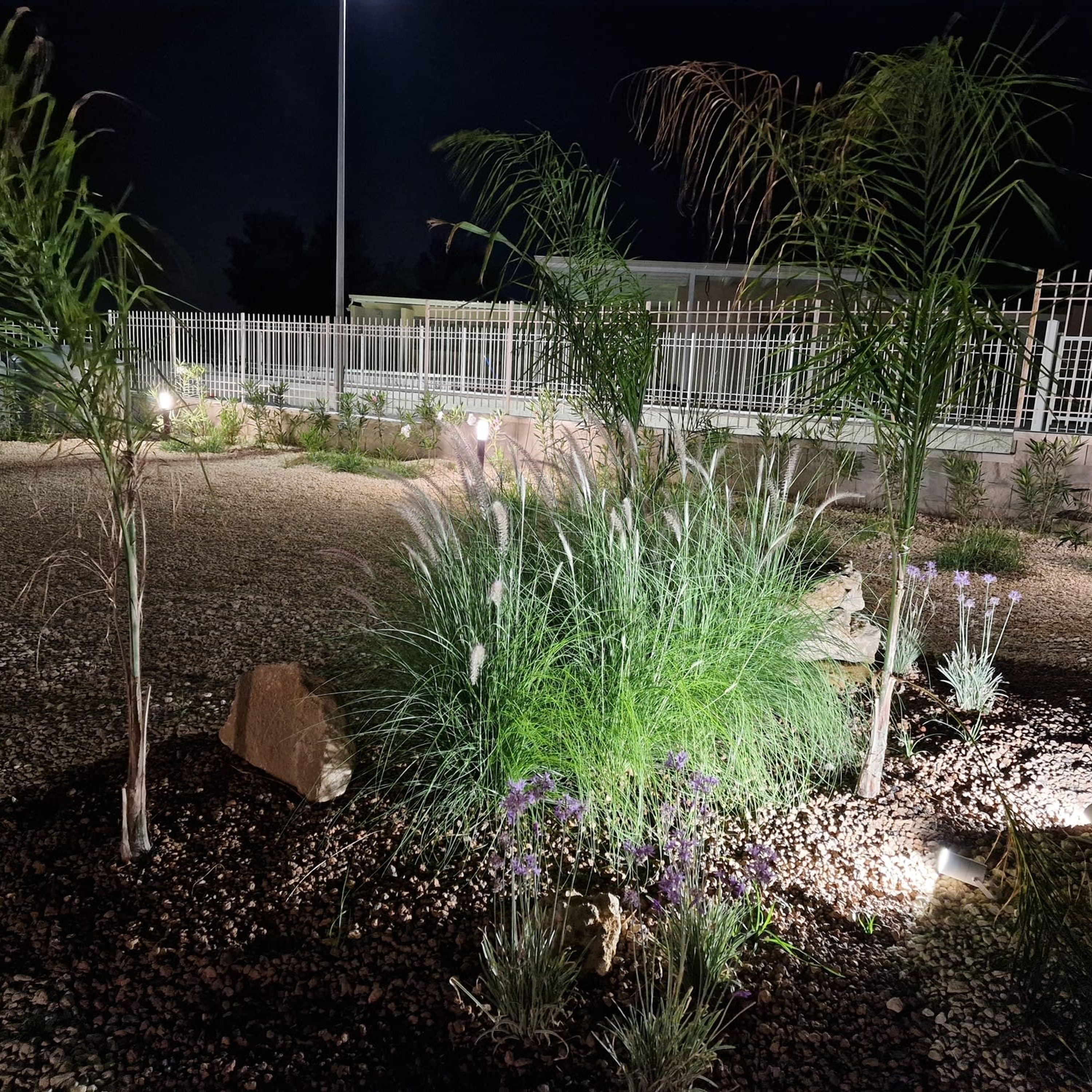 Un espace paysager avec diverses plantes et une clôture blanche en arrière-plan.