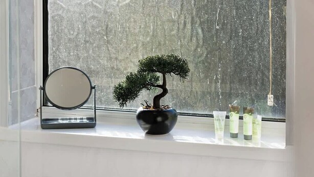 Un petit arbre bonsai en pot, un miroir rond et trois bouteilles sur un rebord de fenêtre.