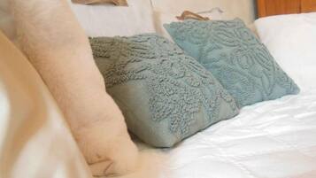 1 camera, ferro/asse da stiro, Wi-Fi gratuito, lenzuola