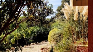 Ein Garten mit Kiesweg, verschiedenen Pflanzen und Bäumen.