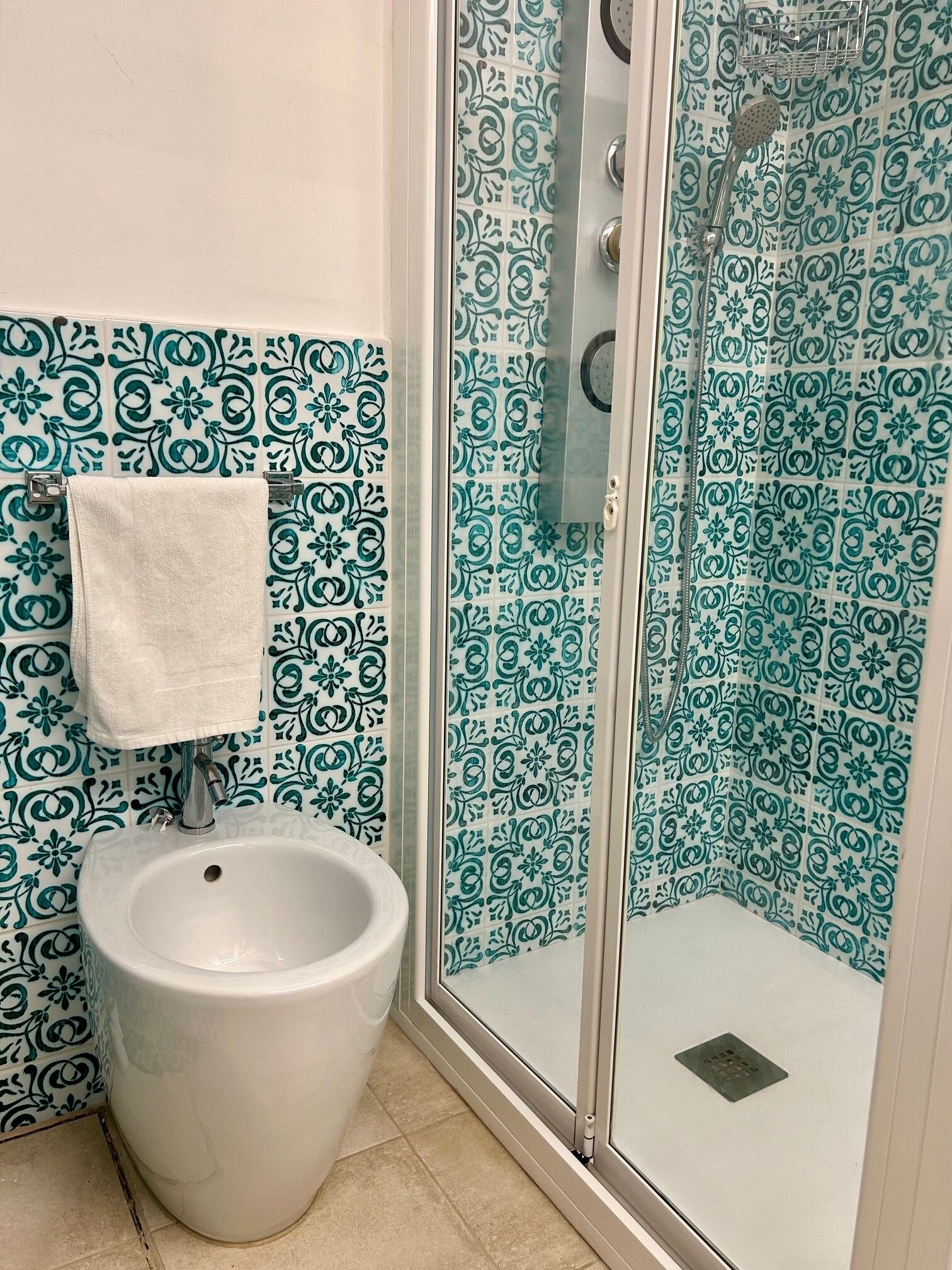 Shower, hair dryer, bidet, towels