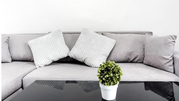 Un canapé gris avec deux coussins blancs et une petite plante en pot posée sur une table noire.