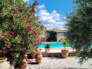 Area piscina con cielo azzurro limpido, circondata da piante in vaso e un muro in pietra.