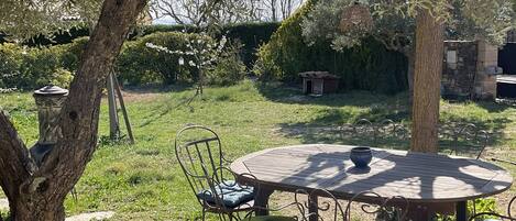 An outdoor dining area with a round wooden table and metal chairs, surrounded by a natural setting with trees and a stone pathway.