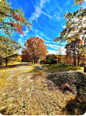 Property grounds -  Country Refuge at The Right Angle •Remote •Hot tub (Winchester)