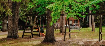 Old Stoney's Musky - PET FRIENDLY