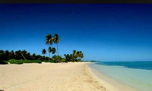 Beach - 5-bedroom villa in PuntaCana with AC, WiFi, walking distance to white sand beach (Punta Cana)