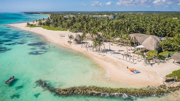 A beach resort with thatched-roof huts, palm trees, and a clear turquoise sea. - 5-bedroom villa in PuntaCana with AC, WiFi, walking distance to white sand beach (Punta Cana)