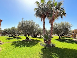 Property grounds - Palais Sena  (Marrakesh)