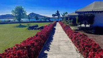Garden view