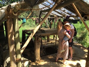 Jardín